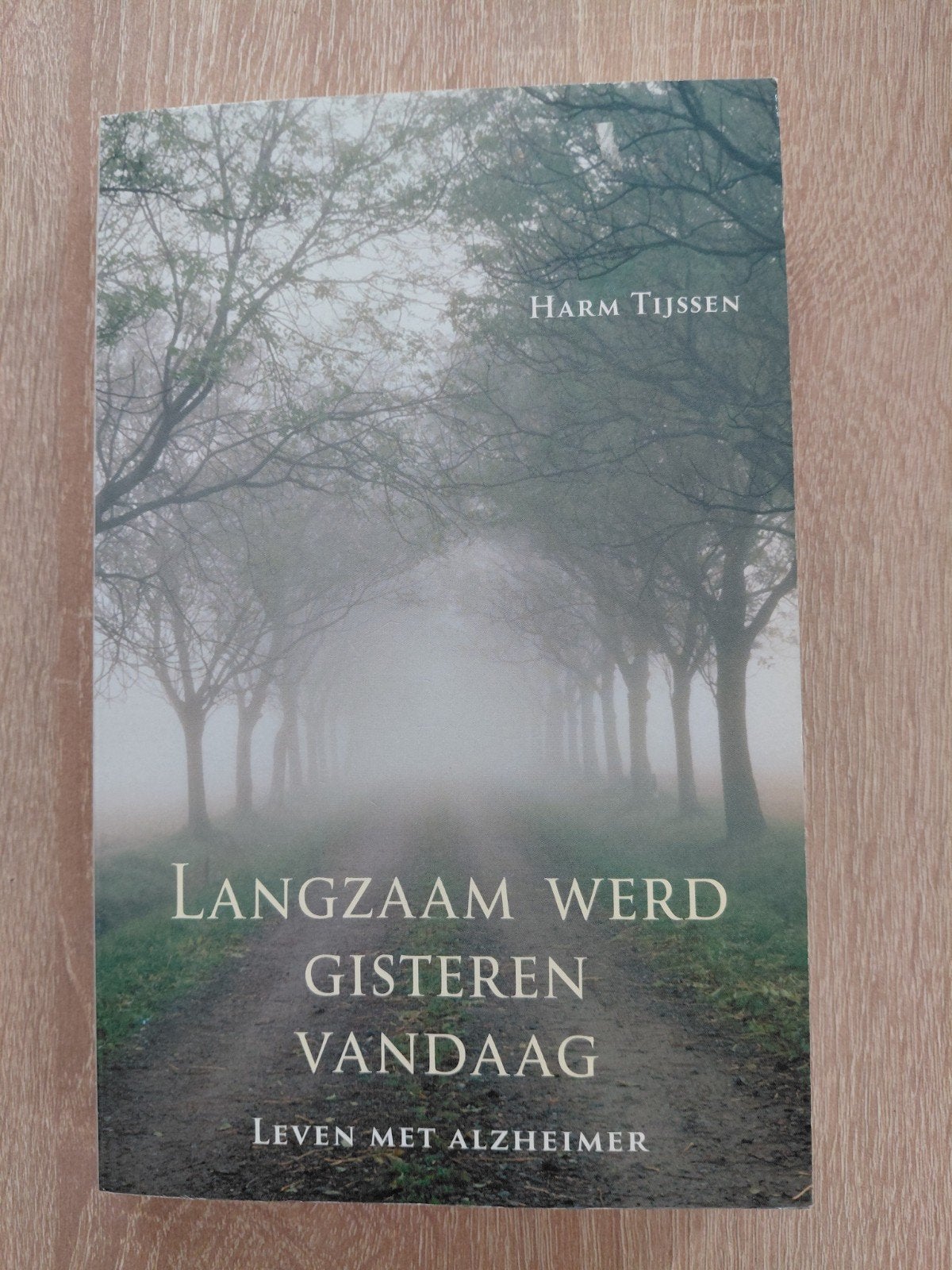 H. Tijssen - Langzaam werd gisteren vandaag, Ophalen of Verzenden, Zo goed als nieuw, H. Tijssen