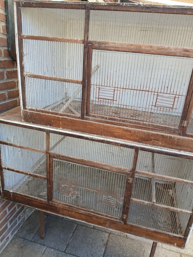 Te koop 2 broedkooien zie adv, Dieren en Toebehoren, Ophalen, Hout, Broedkooi of Kweekkooi
