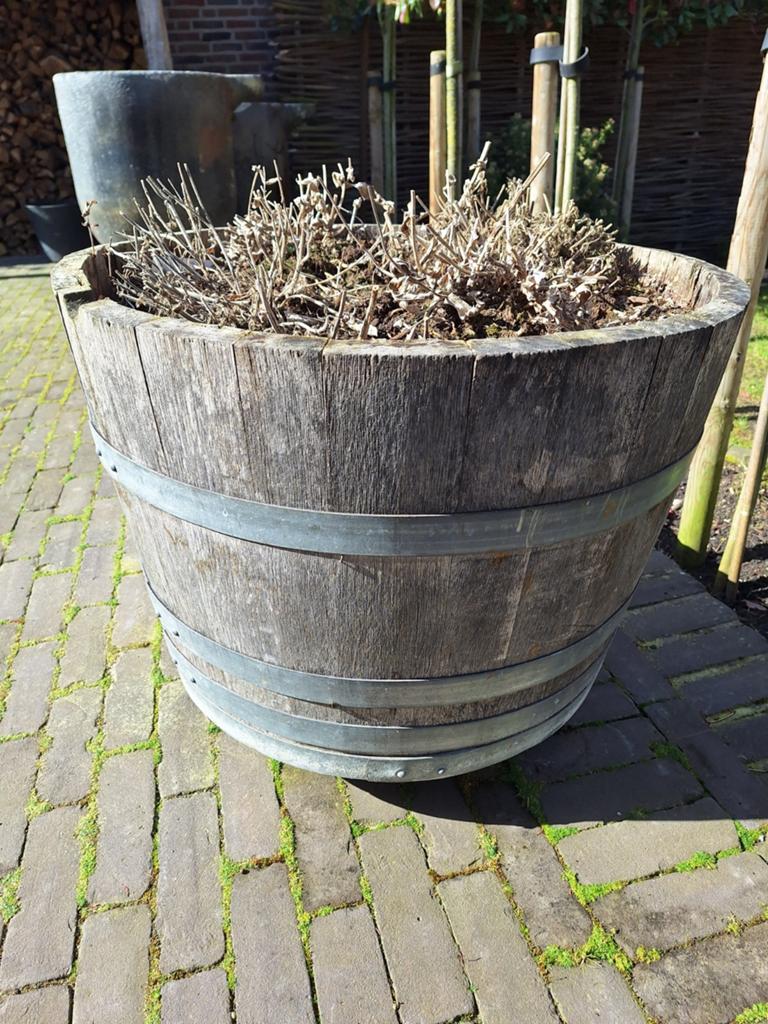 Groot uniek whiskey wijnvat in perfecte staat, Tuin en Terras, Ophalen, Rond, Zo goed als nieuw, 60 tot 100 cm