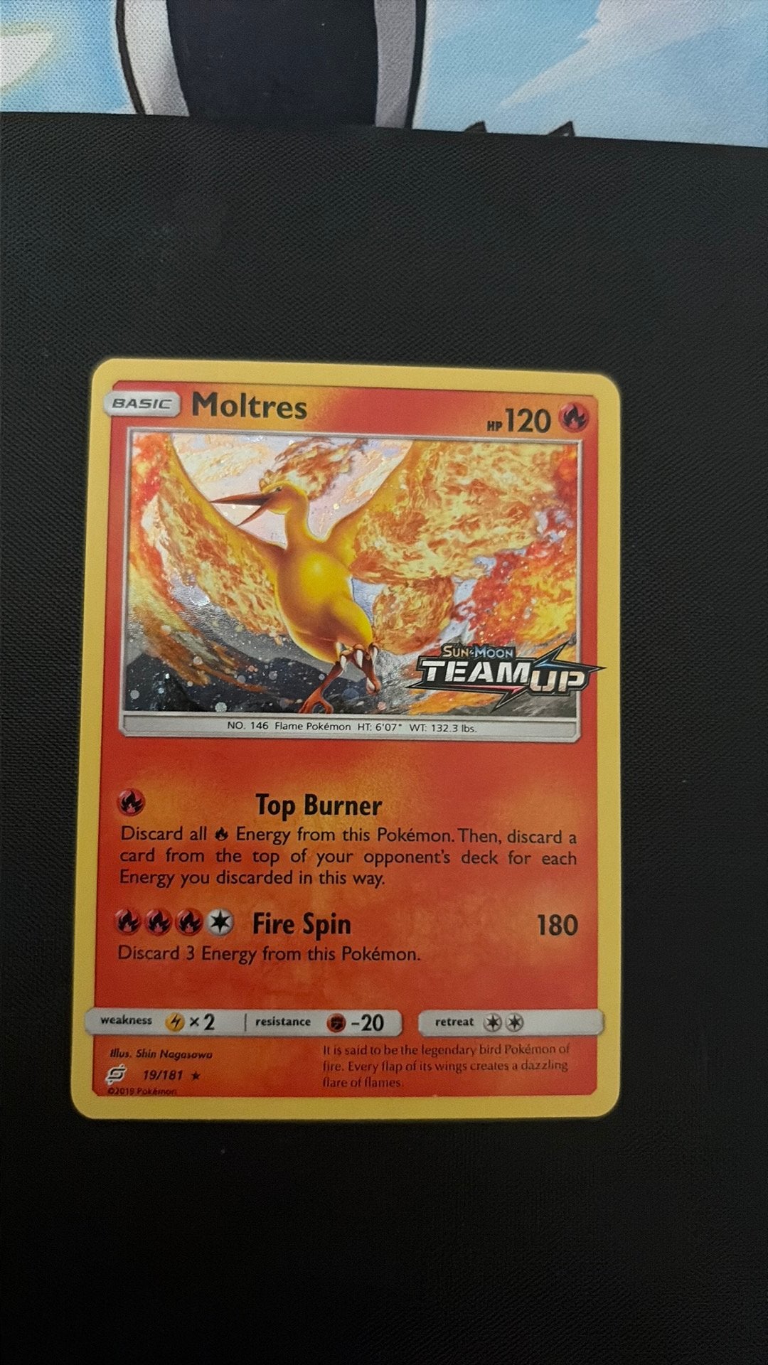 Moltres 19/181, Ophalen of Verzenden, Zo goed als nieuw