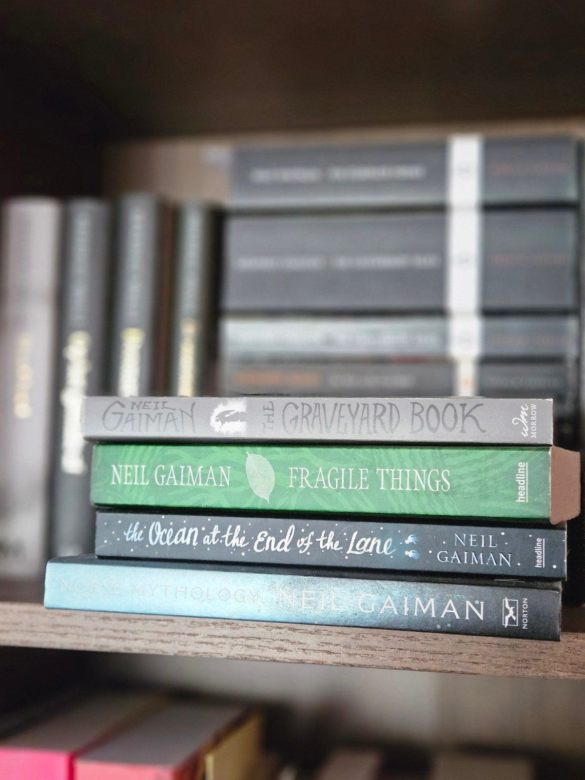 Neil Gaiman Boeken Collectie: 4 Fantastische Titels, Boeken, Ophalen of Verzenden, Gelezen, Neil Gaiman, Amerika