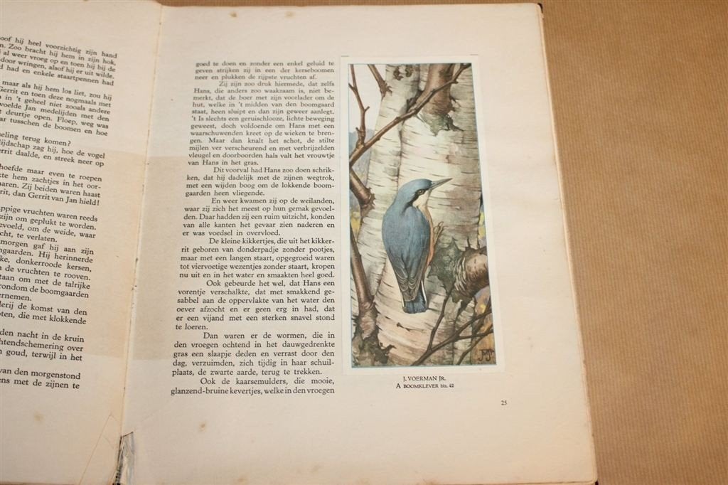 Hans de Torenkraai — Verkade Album — Compleet [1935], Ophalen of Verzenden, Gelezen