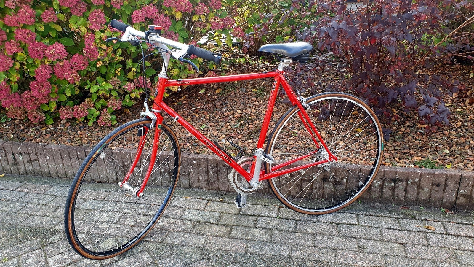 koga miyata proloque sportfiets fr 56 damesfiets, Fietsen en Brommers, Ophalen, 28 inch, Velgrem, Koga Miyata