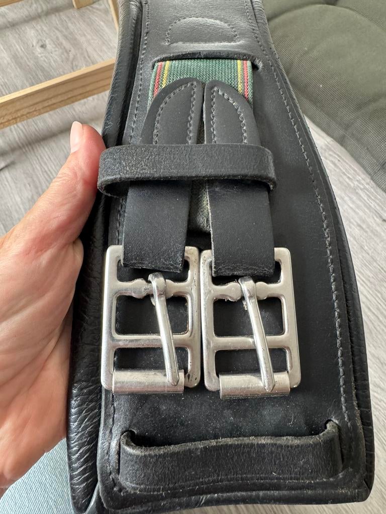 Dressuur singel hulsebos, Dieren en Toebehoren, Ophalen of Verzenden, Gebruikt, Dressuur