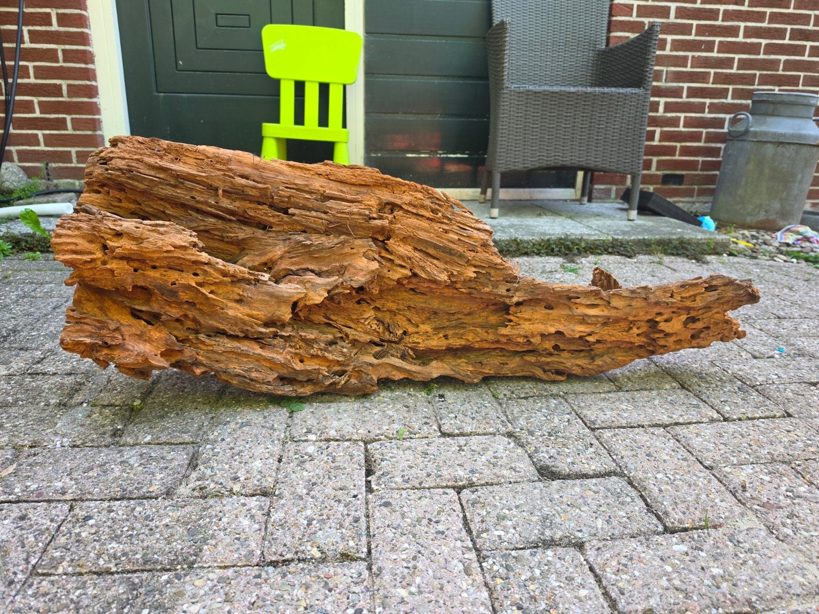 Mangrove hout 97 cm NIEUW!, Dieren en Toebehoren, Ophalen of Verzenden, Nieuw, Plant(en), Steen of Hout, Osaka