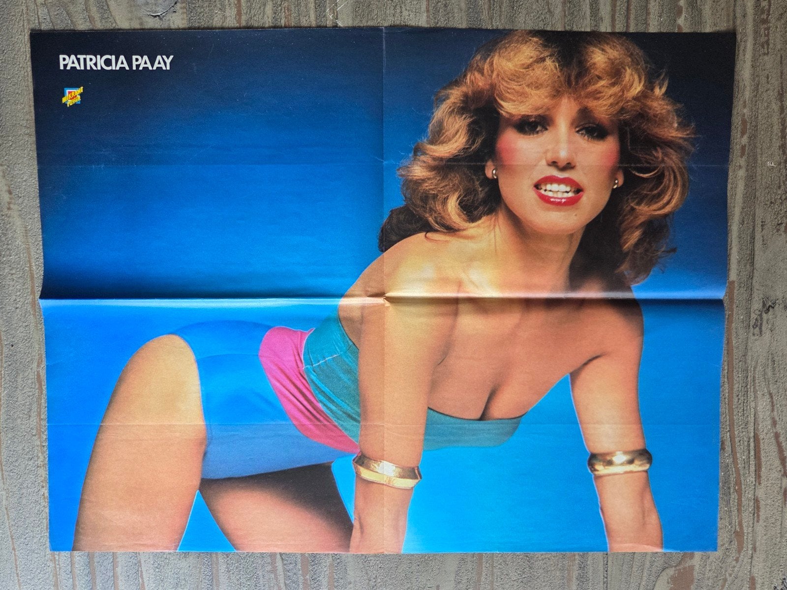 Patricia Paay Poster - Vintage, Rechthoekig Staand, Ophalen of Verzenden, Zo goed als nieuw, A1 t/m A3