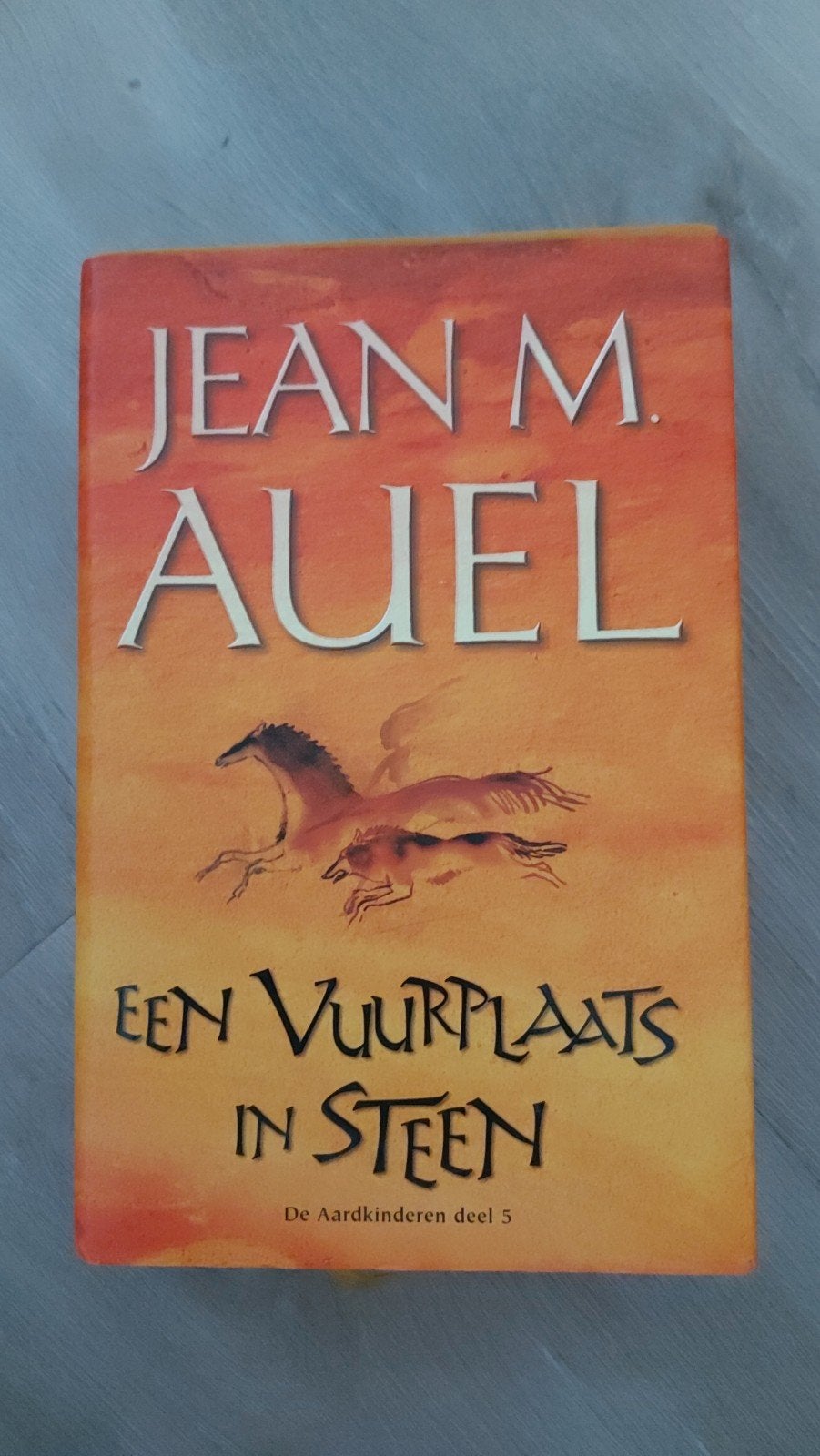 Y: Een Vuurplaats in Steen - Jean M. Auel (De Aardkinderen), Ophalen of Verzenden, Gelezen, Jean M. Auel, Europa overig