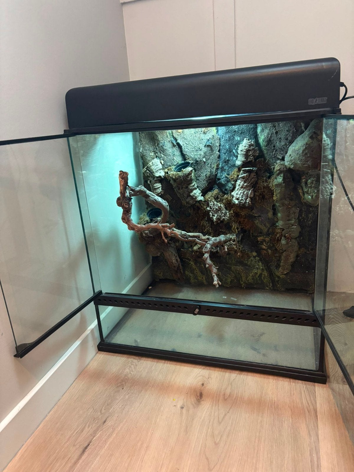 Exo Terra terrarium 60x45x60 cm inclusief 2 lichtkappen, Ophalen, Gebruikt, Terrarium of Paludarium