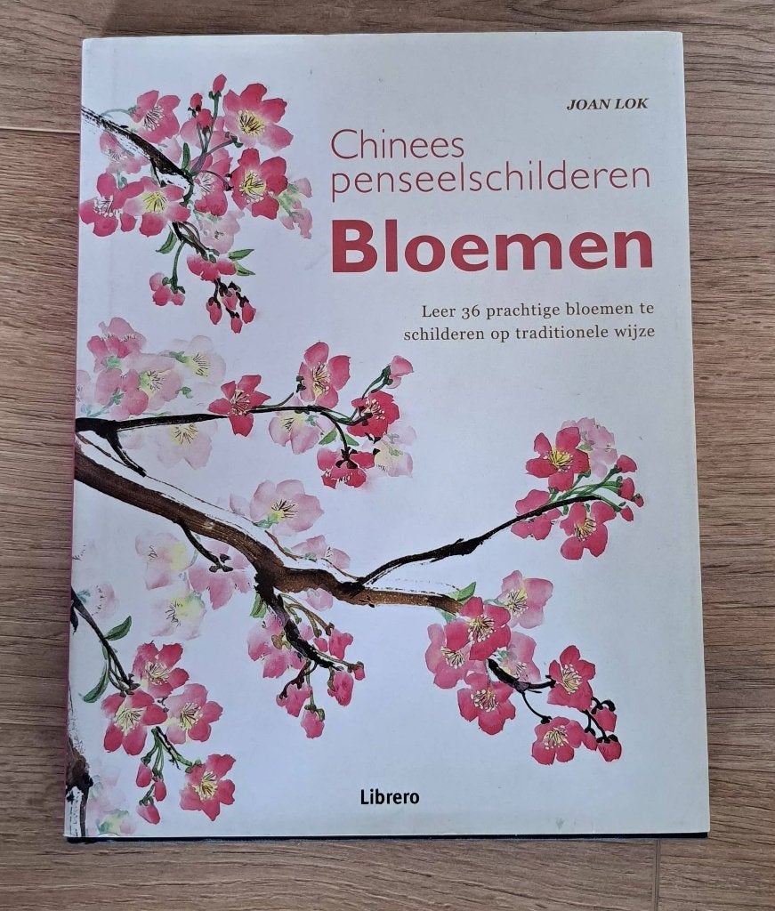 Chinees penseelschilderen, Ophalen of Verzenden, Gebruikt, Overige typen