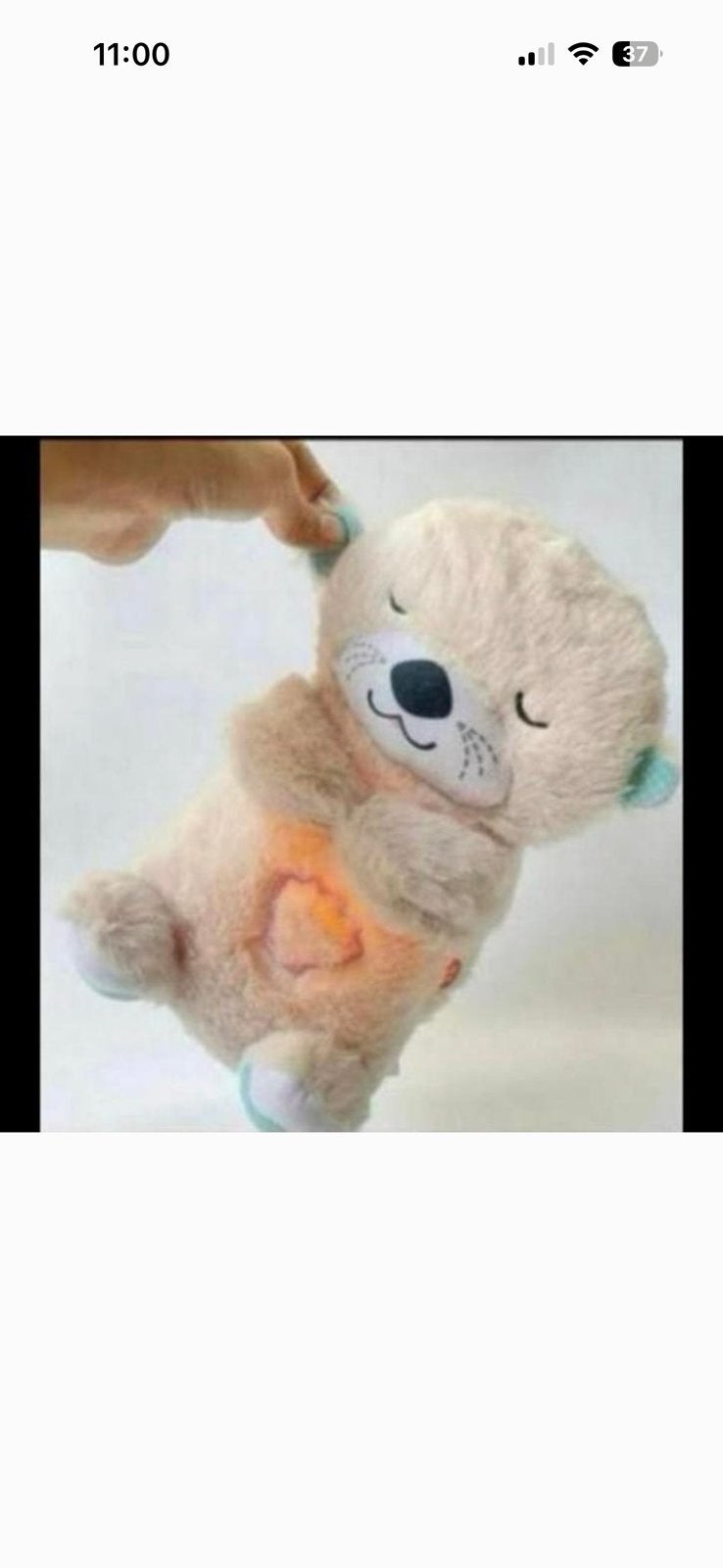 Heel mooie teddy beer met neerdere functies, Ophalen, Nieuw, Beer
