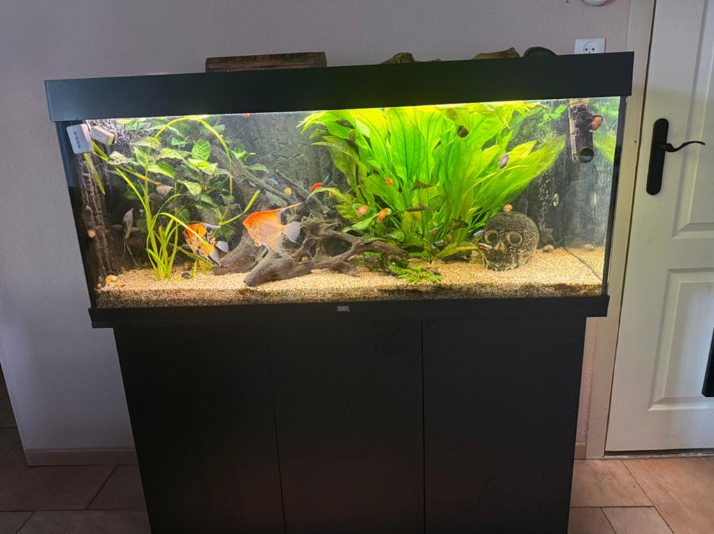 Aquarium juwel rio 240, Dieren en Toebehoren, Vissen | Aquaria en Toebehoren, Ophalen, Zo goed als nieuw, Juwel, Inclusief deksel