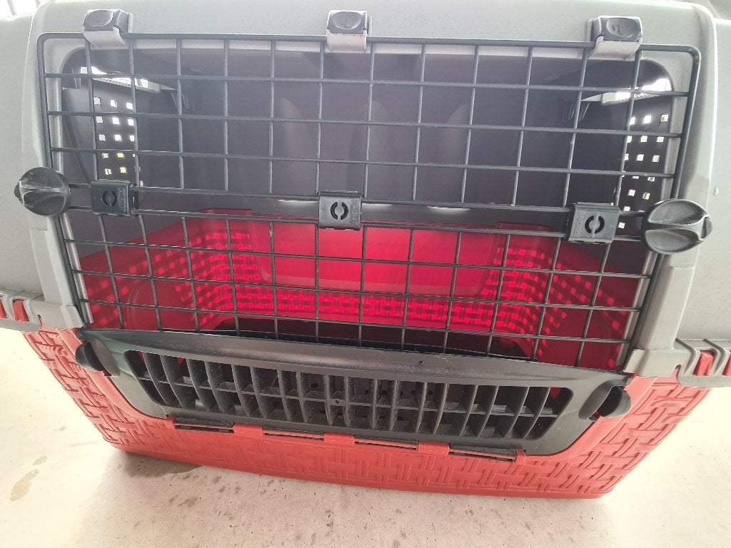 Transportbox hond / Dog travel crate, Ophalen, Zo goed als nieuw
