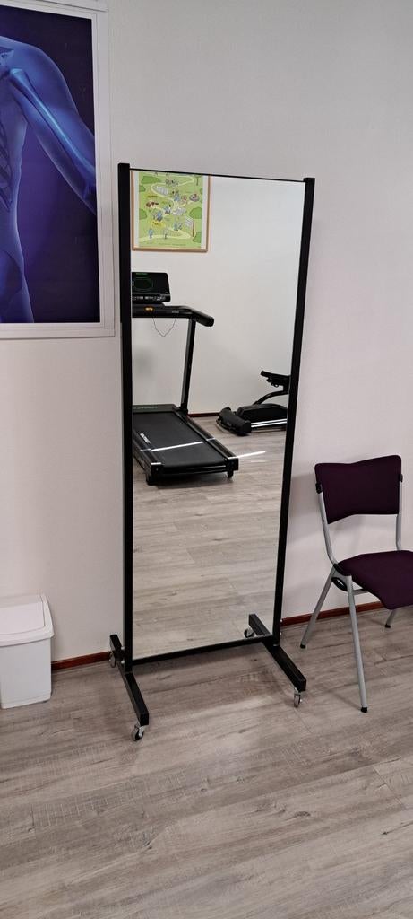Staande spiegel op wieltjes, Ophalen, Rechthoekig, Minder dan 50 cm, 150 tot 200 cm