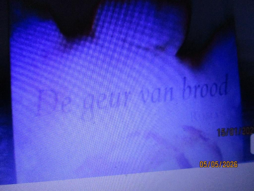 de geur van brood Sarah Lynch 9789032509866 #, Ophalen of Verzenden, Gelezen