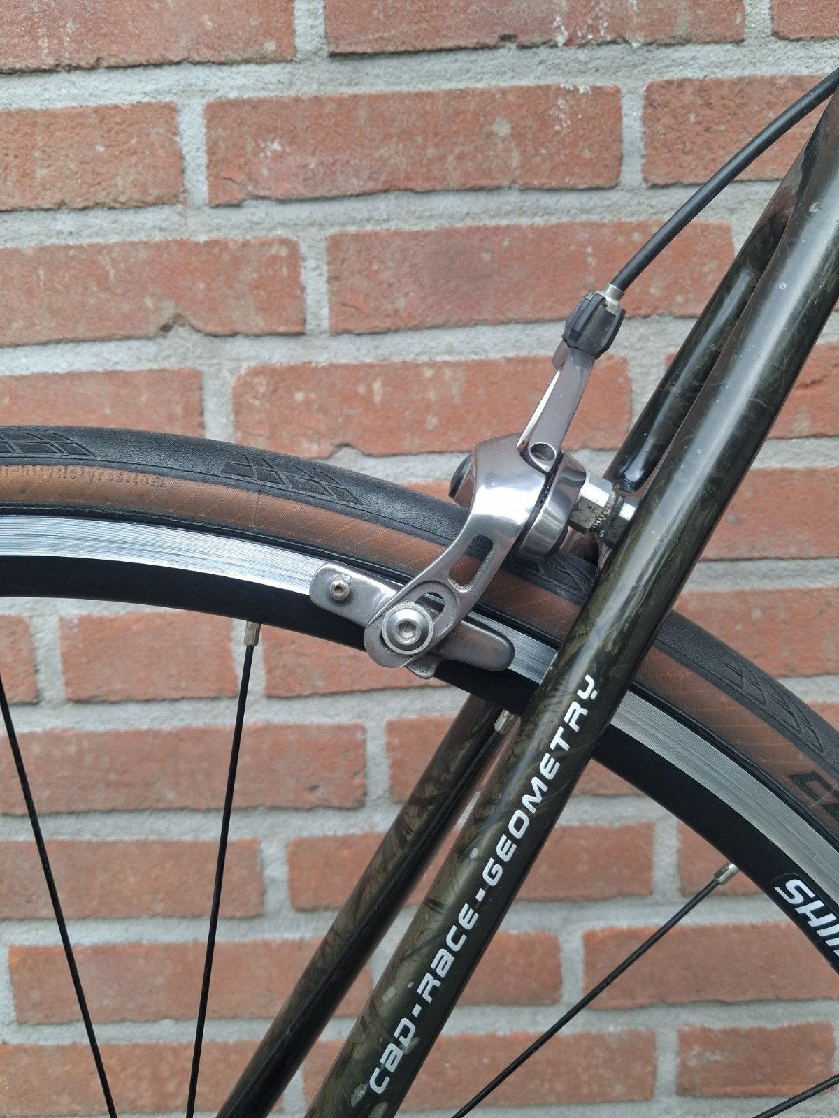 Foto 11 van Red Bull (Rose) Carbon-SL 4400