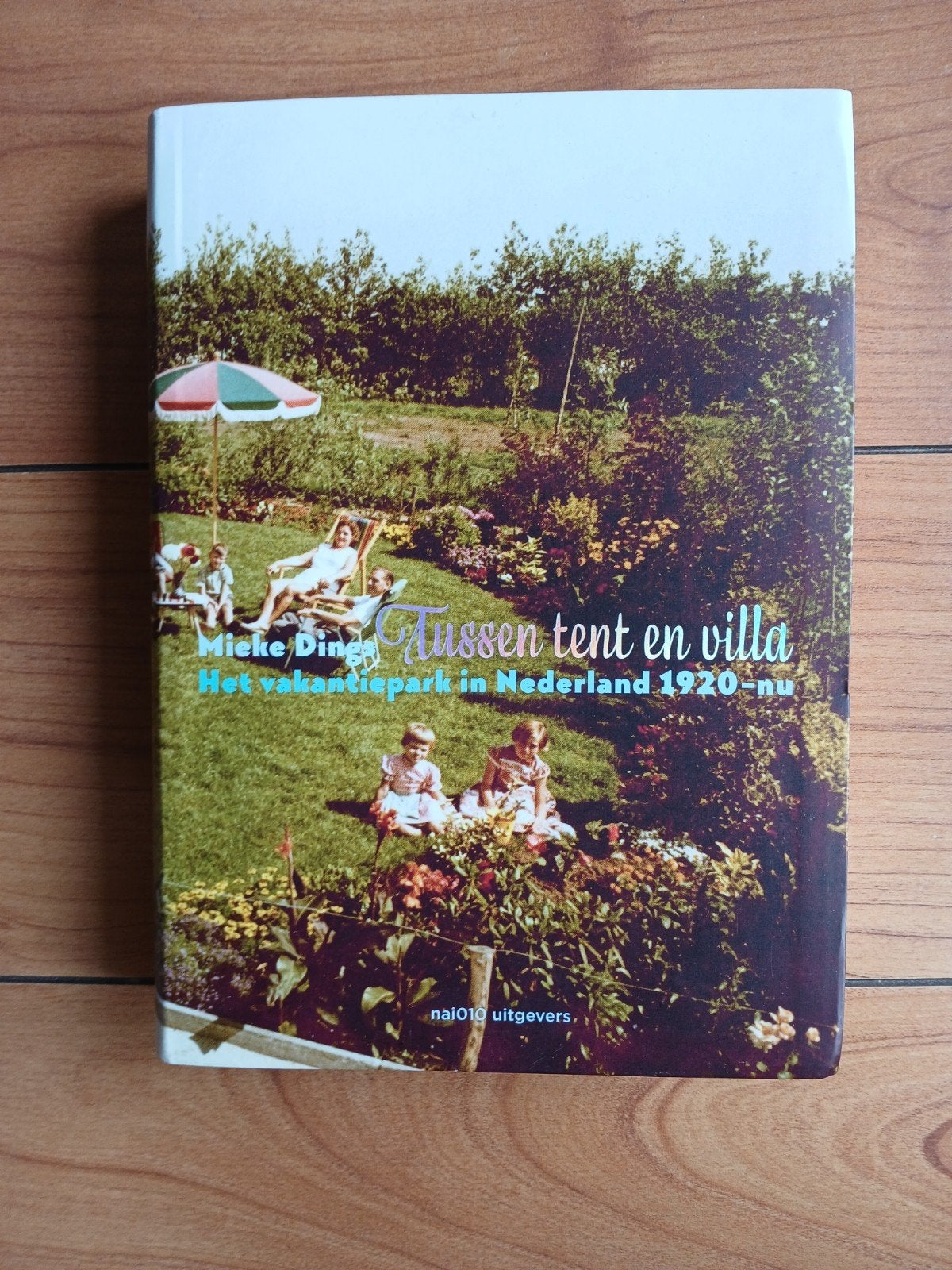 Mieke Dings - Tussen tent en villa, Ophalen of Verzenden, Nieuw, Mieke Dings