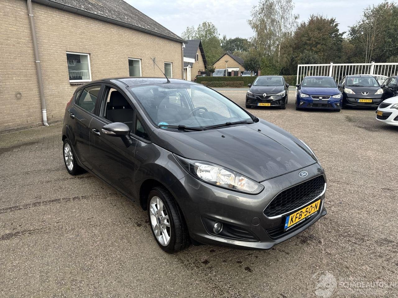 Ford Fiesta 1.25 (bj 2016), 1242 cc, Handgeschakeld, Henry-Ford-Straße  1 ,50735, Köln, Deutschland, Zilver of Grijs