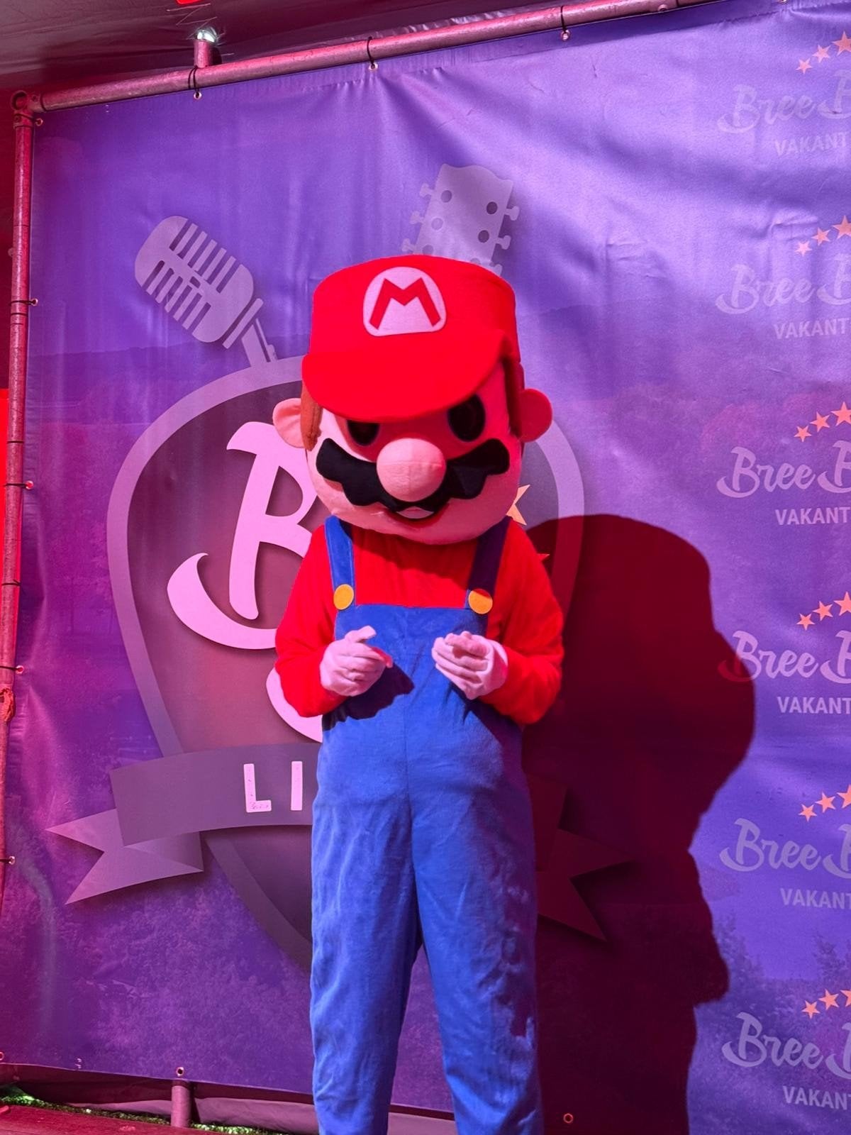 Huur of koop een mascotte pak mario - Mario en meer!, Ophalen of Verzenden