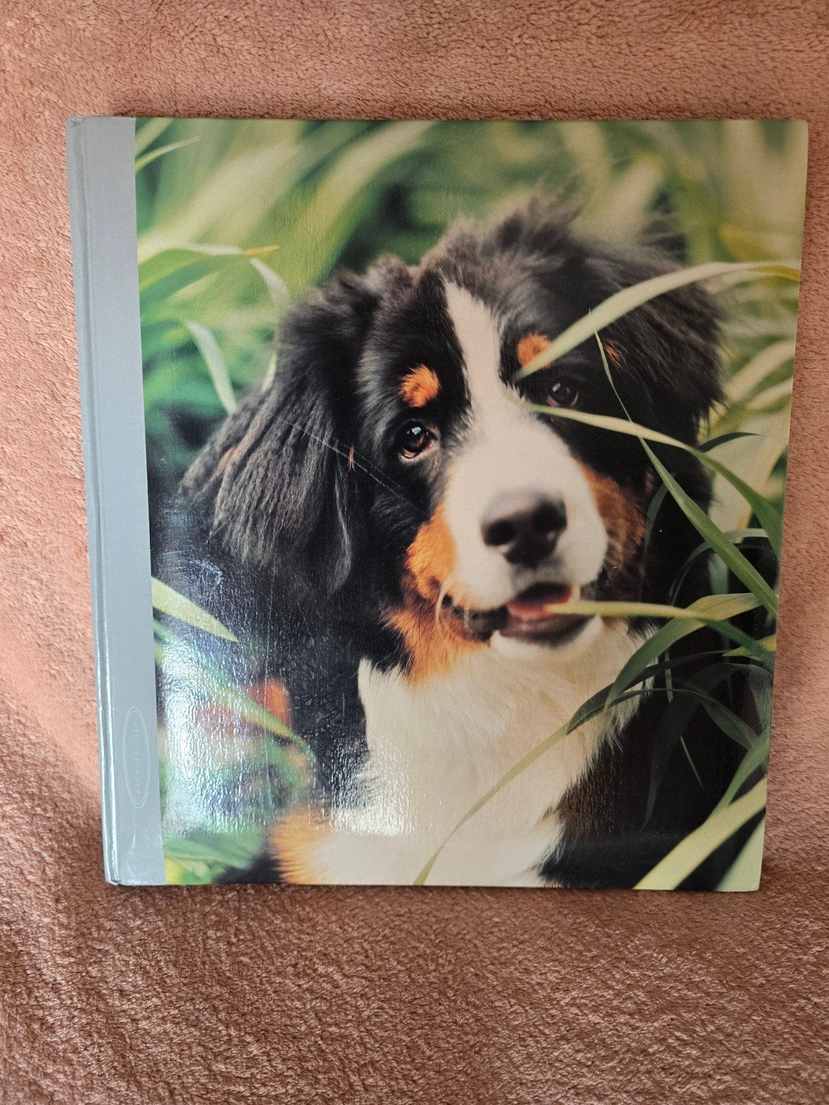 *NIEUW*HENZO FOTOALBUM BERNER SENNER 10,- EURO VASTE PRIJS, Henzo, Meerkleurig, Fotomap, Nieuw