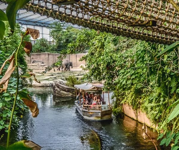 Wildlands tickets 2 volwasen en 1 kind, Tickets en Kaartjes, Recreatie | Dierentuinen, Drie personen of meer, Ticket of Toegangskaart