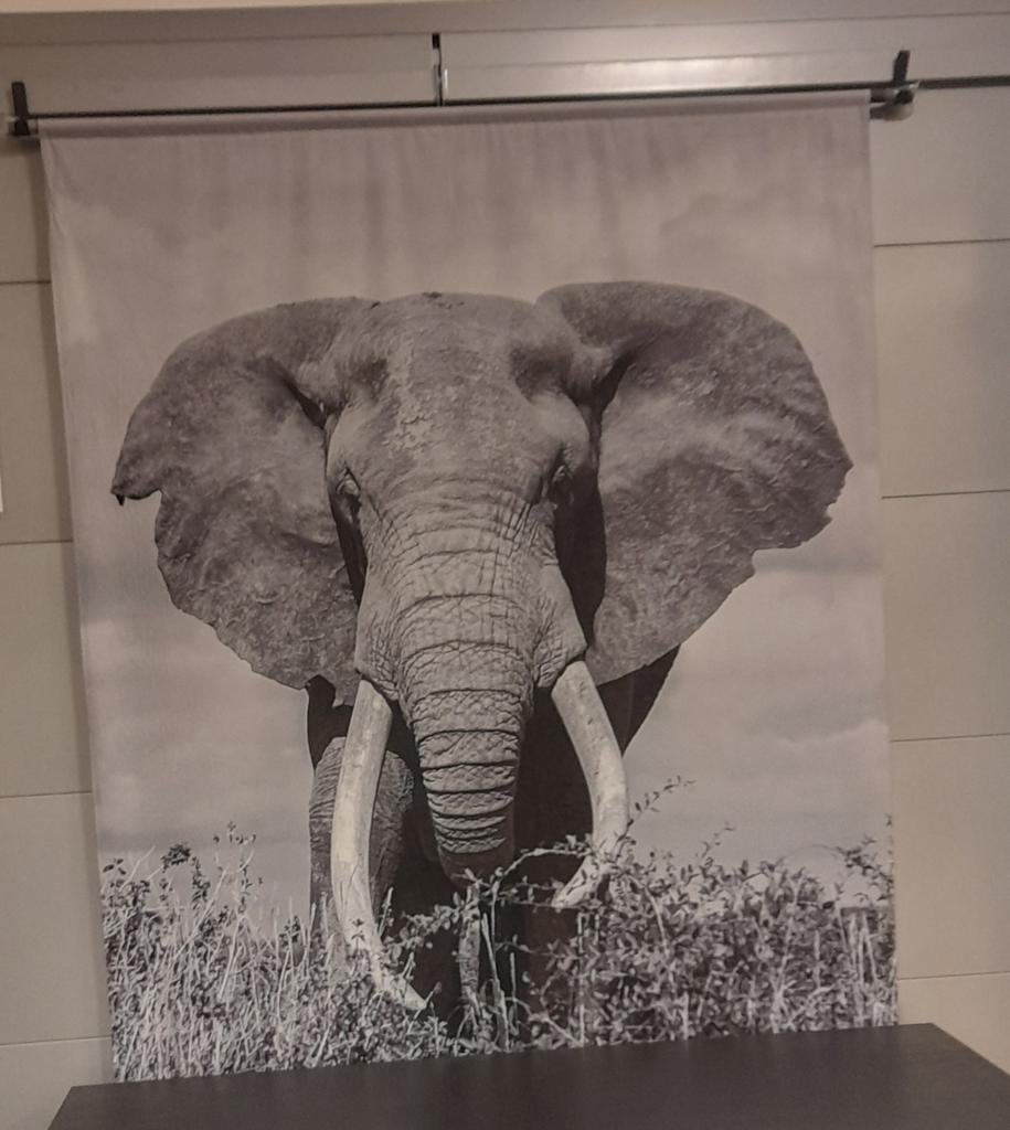 Groot wandkleed met olifant, Ophalen, Nieuw, Afrikaans, Met ophangsysteem