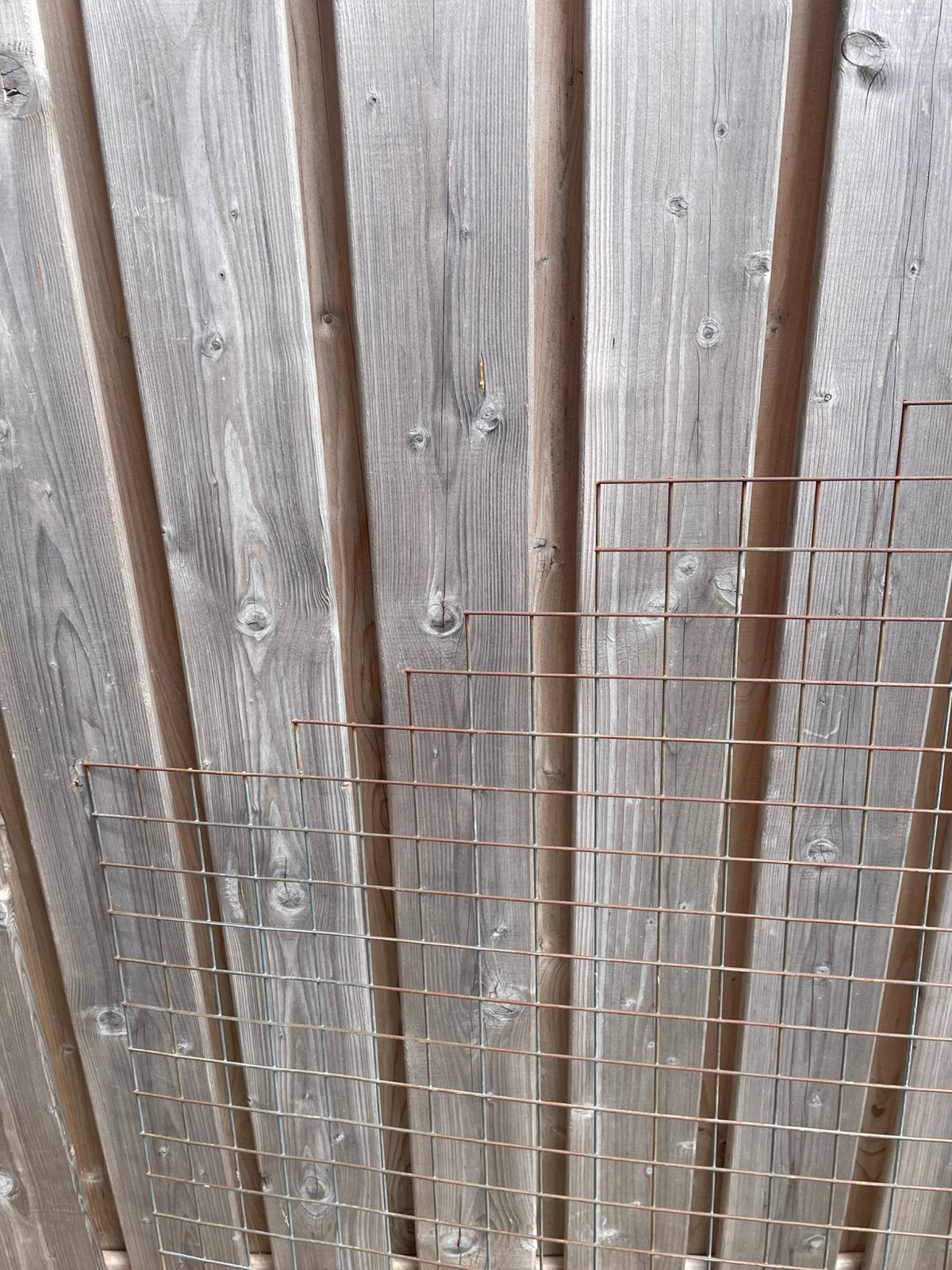 Gratis, Tuin en Terras, Ophalen, Gebruikt, Minder dan 10 meter, Draad