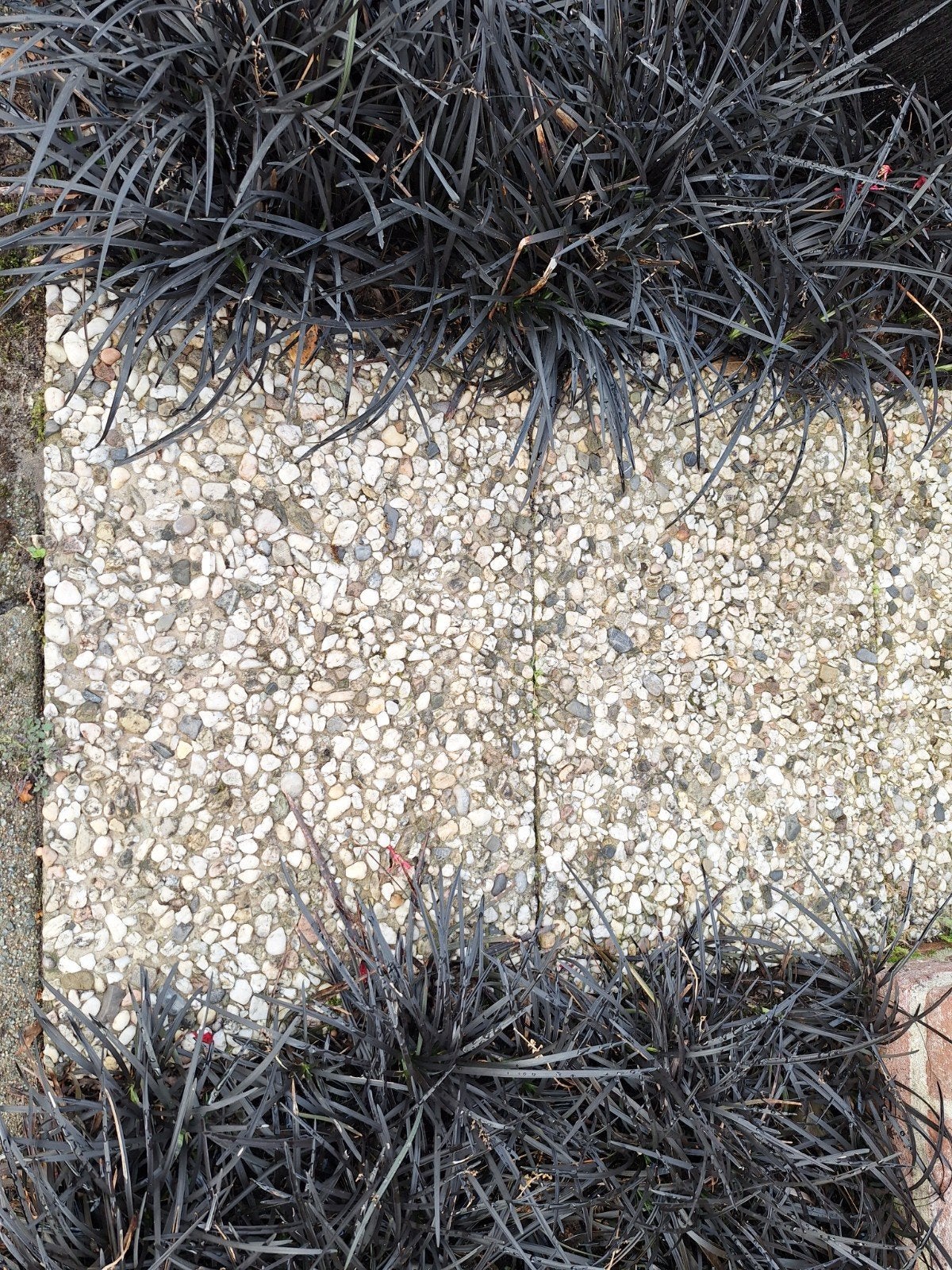 ca 45 stuks grindtegels, 40x60 cm, Tuin en Terras, Ophalen, Gebruikt, 10 m² of meer, Beton
