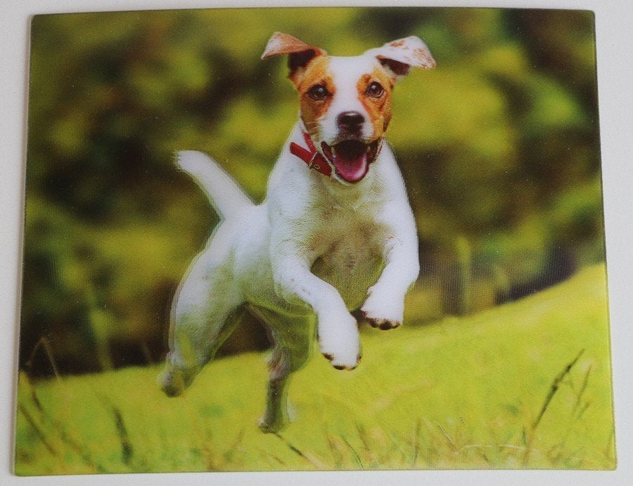 3D City Line kaart hond / jack russell, nieuw, Ophalen of Verzenden, 1980 tot heden, Ongelopen, Hond of Kat