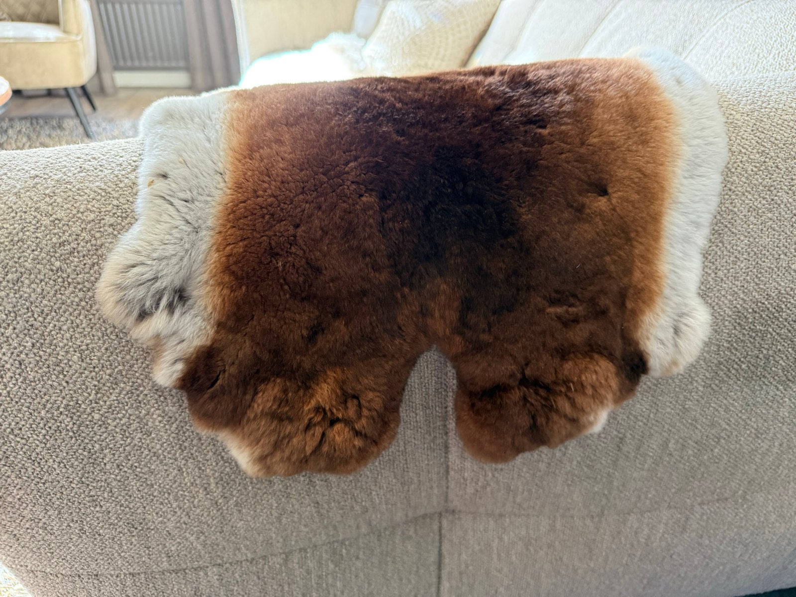 Decoratief konijnen vacht bruin/wit, Minder dan 50 cm, Gebruikt, 50 tot 100 cm, Bruin
