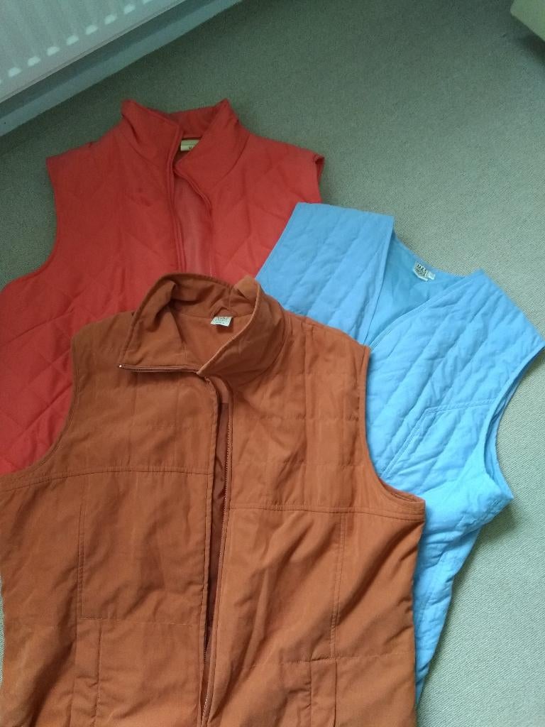 Bodywarmers, Ophalen, Nieuw, Maat 46/48 (XL) of groter, Overige kleuren