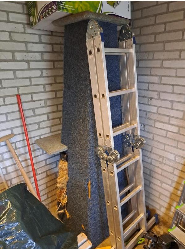 kattenkrabpaal, Ophalen, Gebruikt, Krabpaal