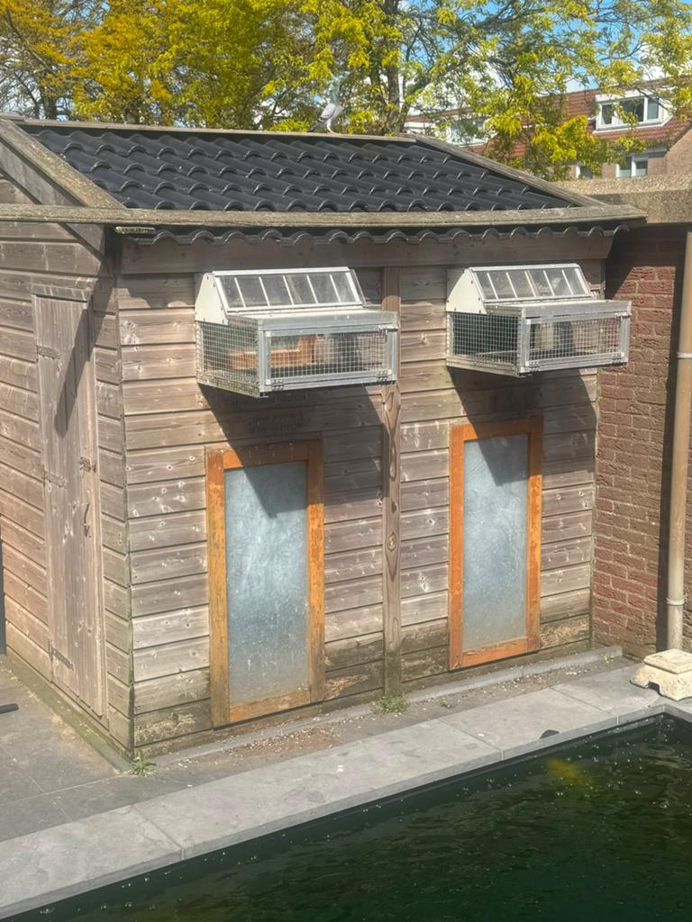 Duivenhok te koop, Dieren en Toebehoren, Ophalen, Gebruikt, Hout, Volière