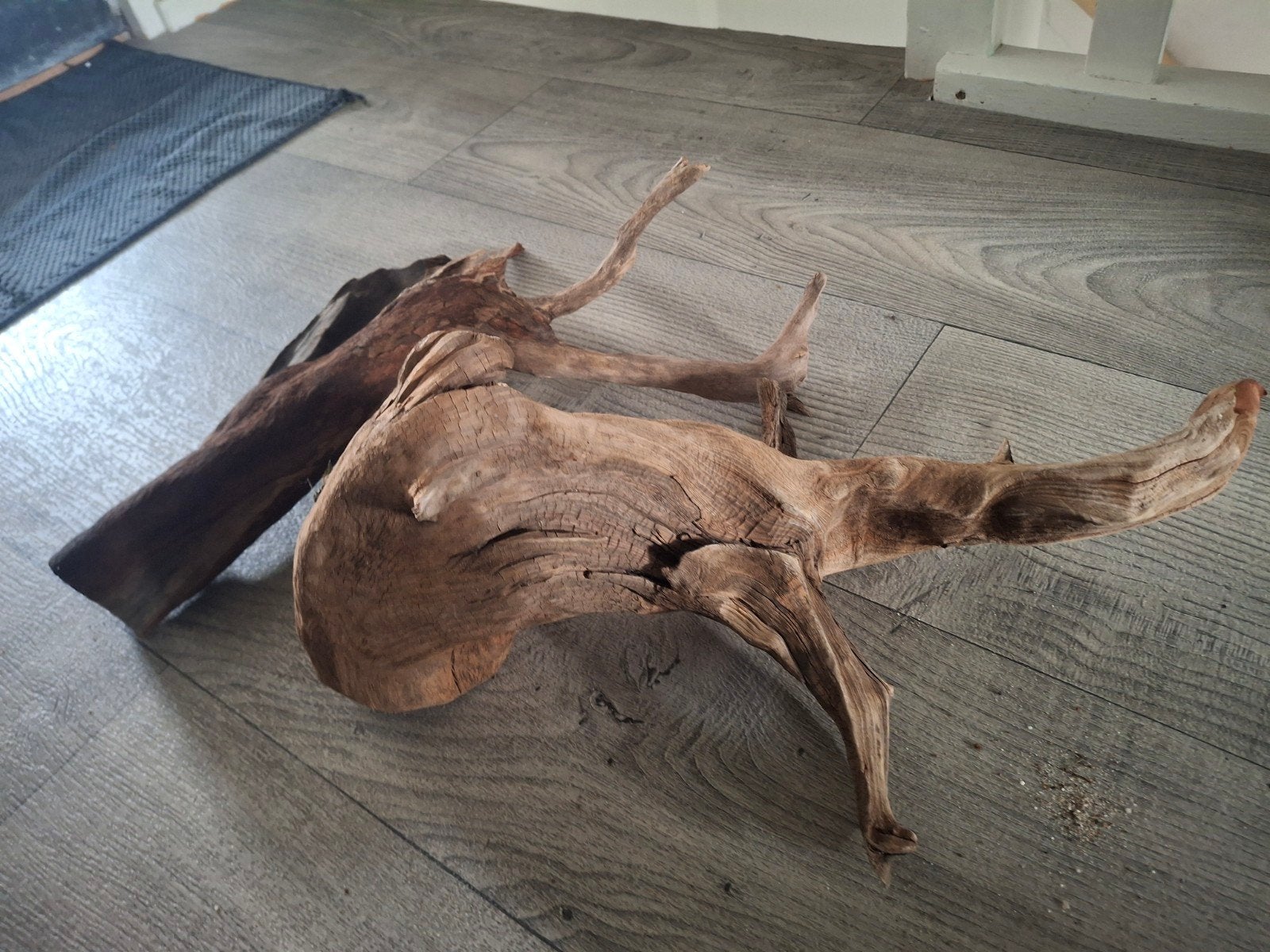 aquarium hout kienhout 40 cm [ zie omschrijving], Dieren en Toebehoren, Ophalen of Verzenden