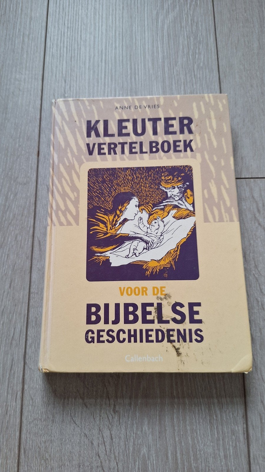 Kleuter Vertelboek Bijbelse Geschiedenis - Anne de Vr, Boeken, Ophalen of Verzenden