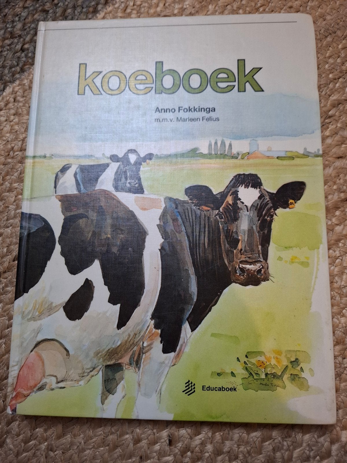 Koeboek - Anno Fokkinga & Marleen Felius, Ophalen of Verzenden