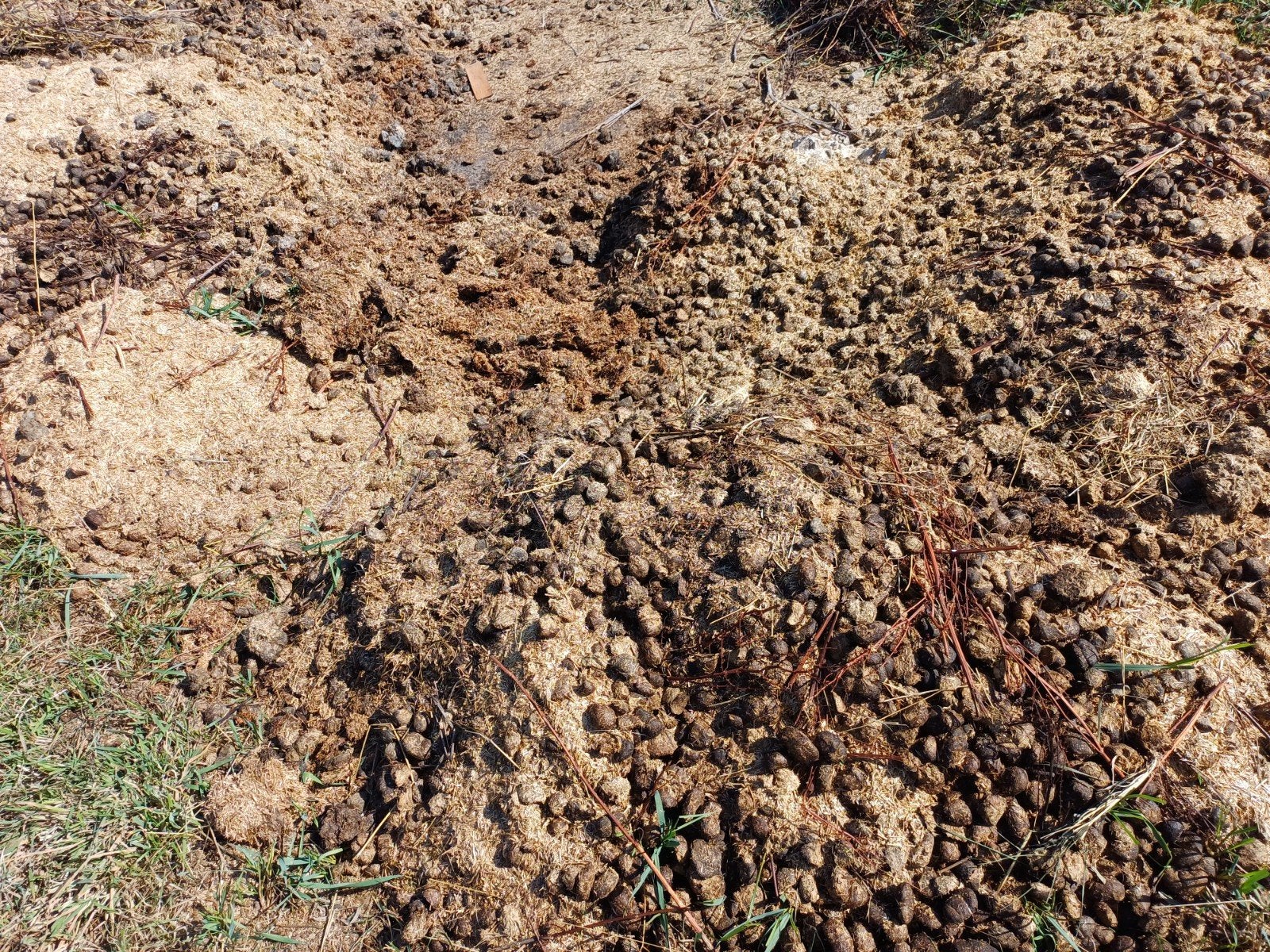Paardenmest met vlas, Ophalen, Tuinaarde