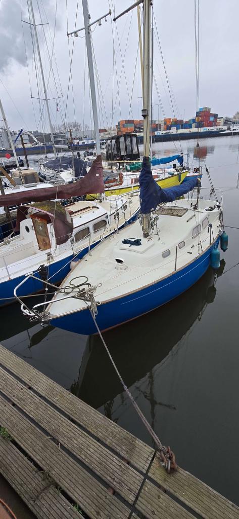 Amigo 27 kajuitzeiljacht bouwjaar 1984, Watersport en Boten, Kajuitzeilboten en Zeiljachten, Gebruikt, Tourjacht of Cruiser, Polyester