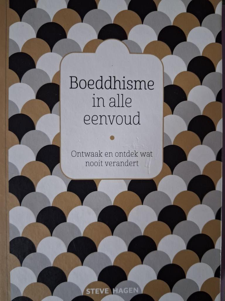 Steve Hagen - Boeddhisme in alle eenvoud, Boeken, Nieuw, Ophalen of Verzenden, Steve Hagen, Boeddhisme