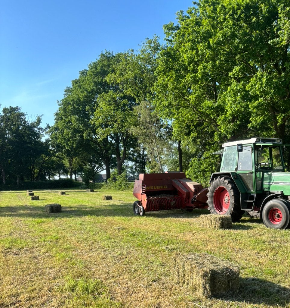 Hooi/stro persen omgeving Staphorst, Dieren en Toebehoren, Ophalen, Vee