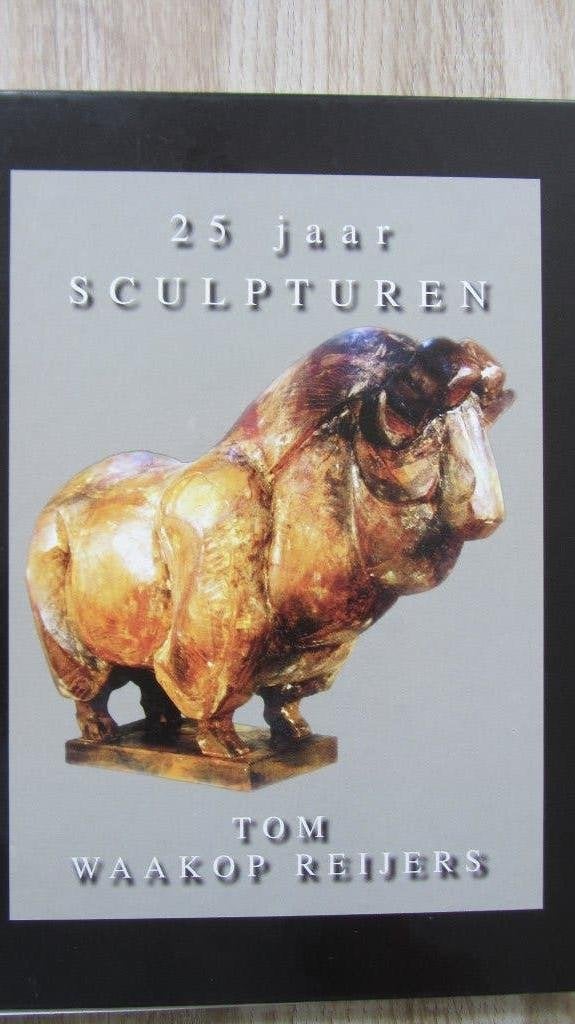 Tom Waakop Reijers - 25 jaar sculpturen, Ophalen of Verzenden, Zo goed als nieuw