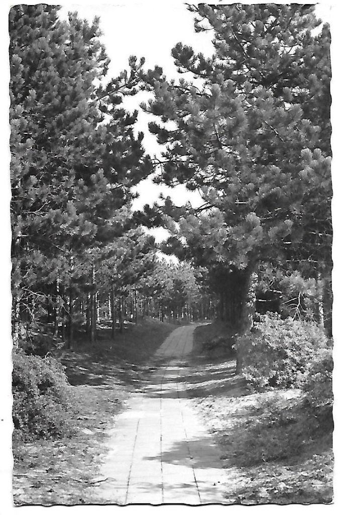 Burgh Haamstede Westerschouwen Oude ansichtkaart ( B888, Ophalen of Verzenden, 1940 tot 1960, Gelopen