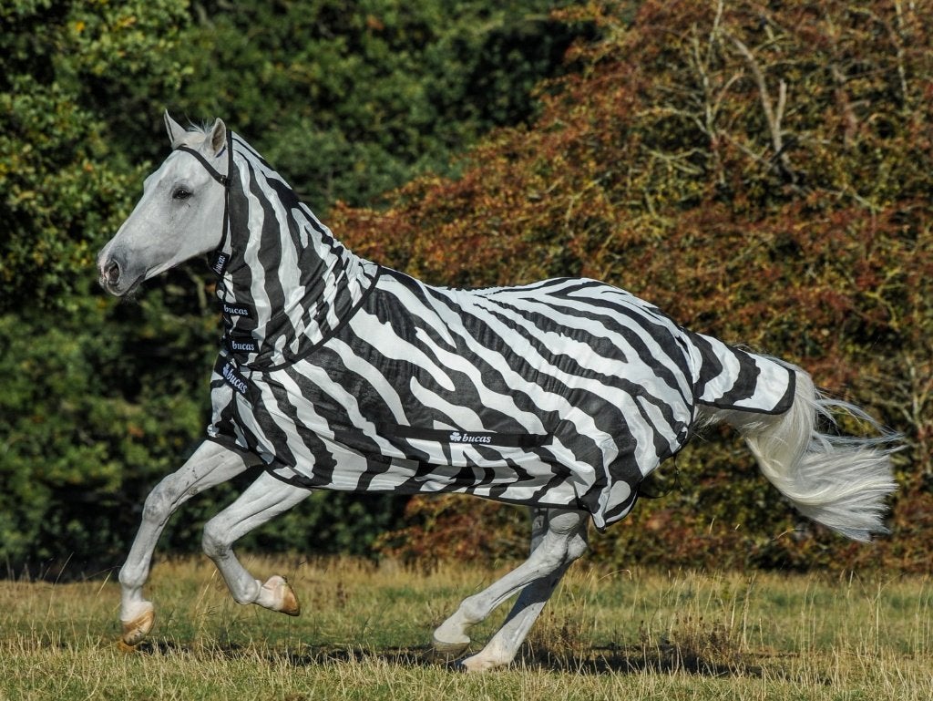 Bucas Buzz-Off met losse hals, 175, 183, 191, 198, 206, 213, Bucas, Vliegendeken, Nieuw, Ophalen of Verzenden