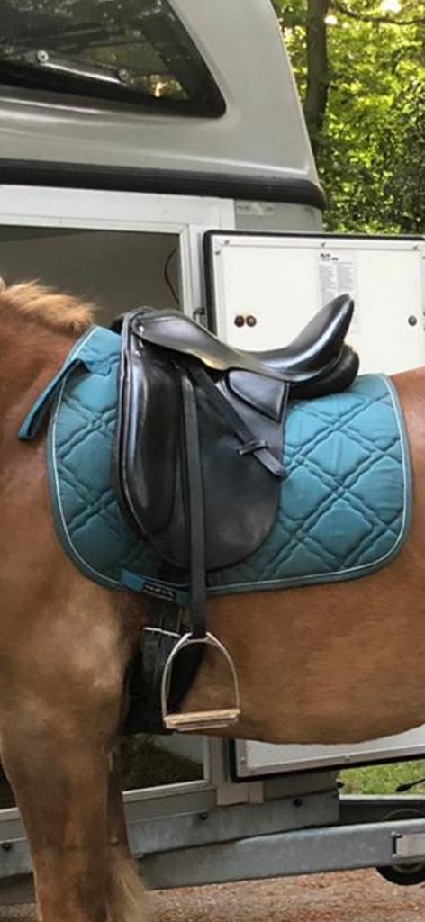 Complete set te koop, Dieren en Toebehoren, Ophalen of Verzenden, Zo goed als nieuw