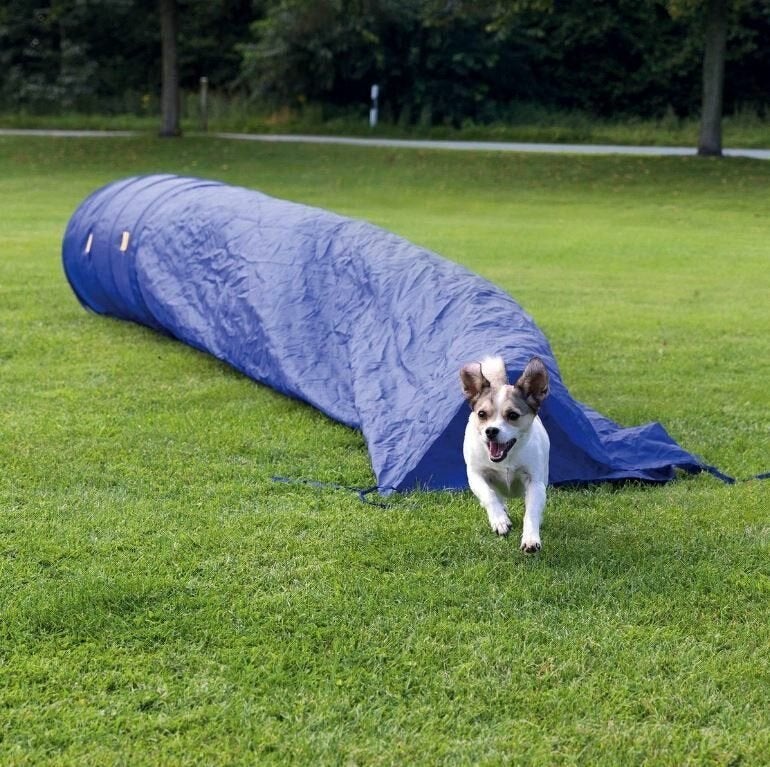 Agility Zaktunnel Training Hondensport Hondentraining Honden, Dieren en Toebehoren, Ophalen of Verzenden, Nieuw, Overige typen