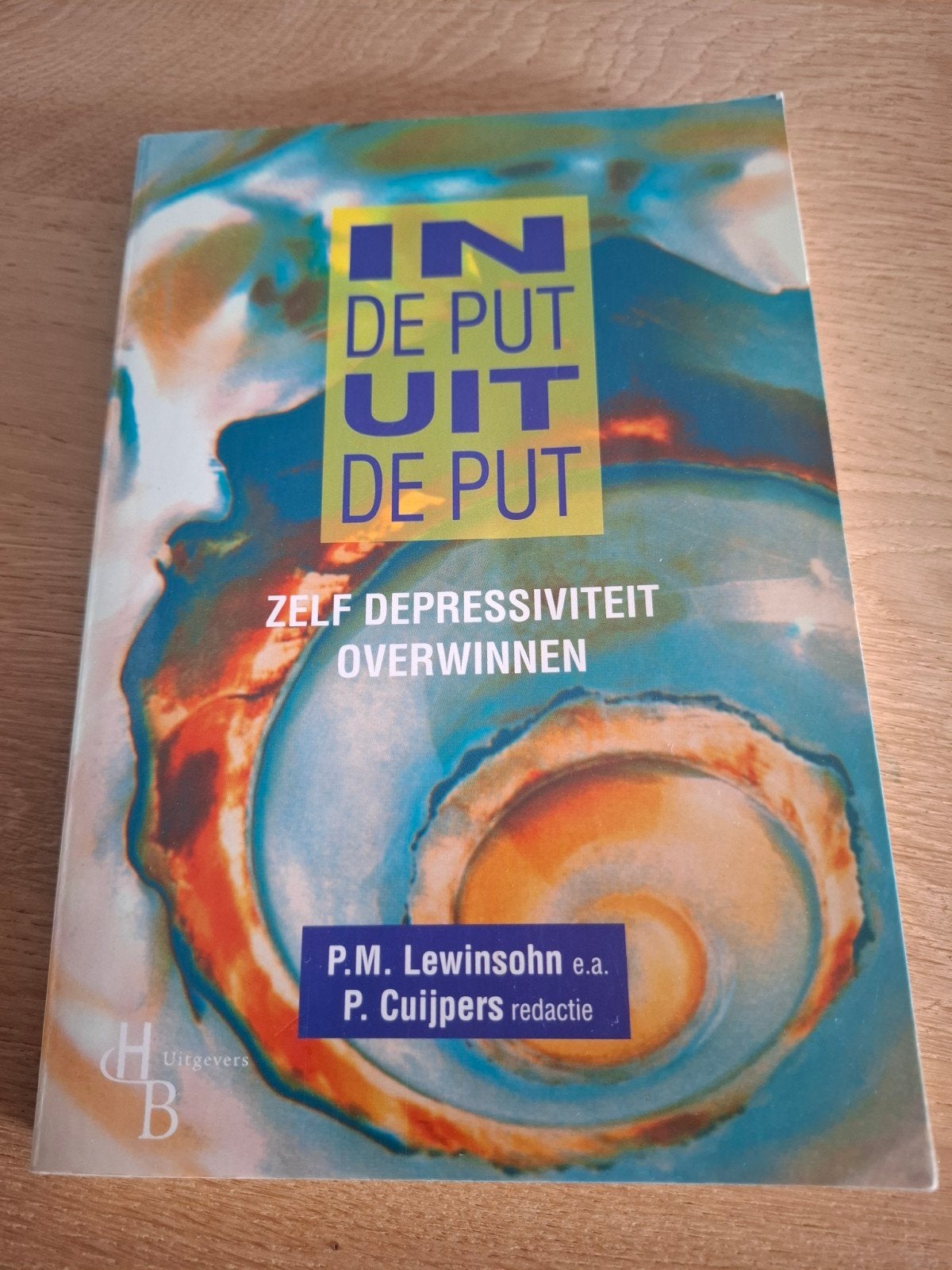 In de put uit de put: Zelf depressiviteit overwinnen, Boeken, Psychologie, Ophalen of Verzenden, Gelezen, Klinische psychologie