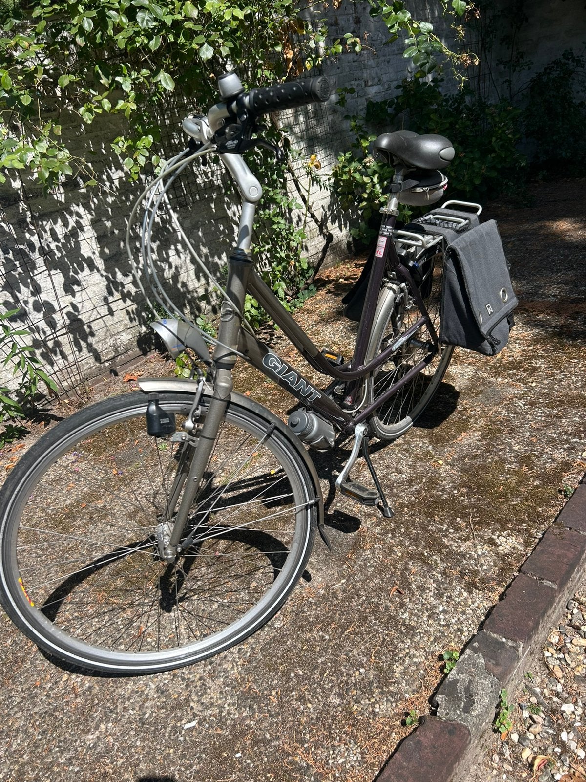 Giant Freerider L damesfiets mooie staat!, Fietsen en Brommers, Fietsen | Dames | Damesfietsen, Ophalen, Zo goed als nieuw, Giant
