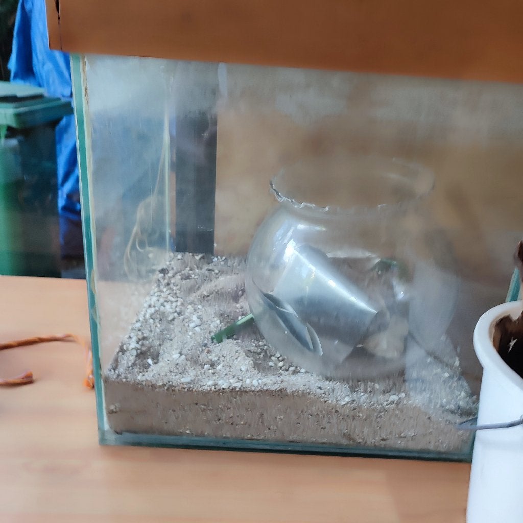 complete starters Aquarium/terrarium, Ophalen, Gebruikt, Overige merken, Leeg aquarium