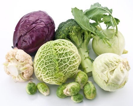 GEZOCHT KOOLplantjes, Tuin en Terras, Ophalen, Volle zon
