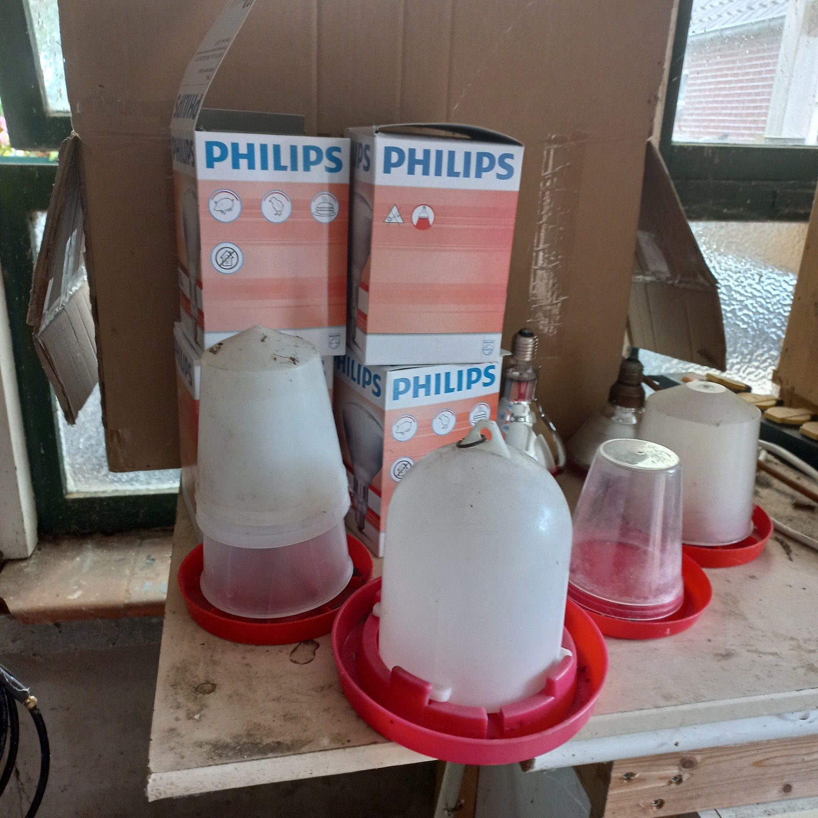 te koop warmtelamp  voer en water bakjes voor kuikens, Ophalen of Verzenden