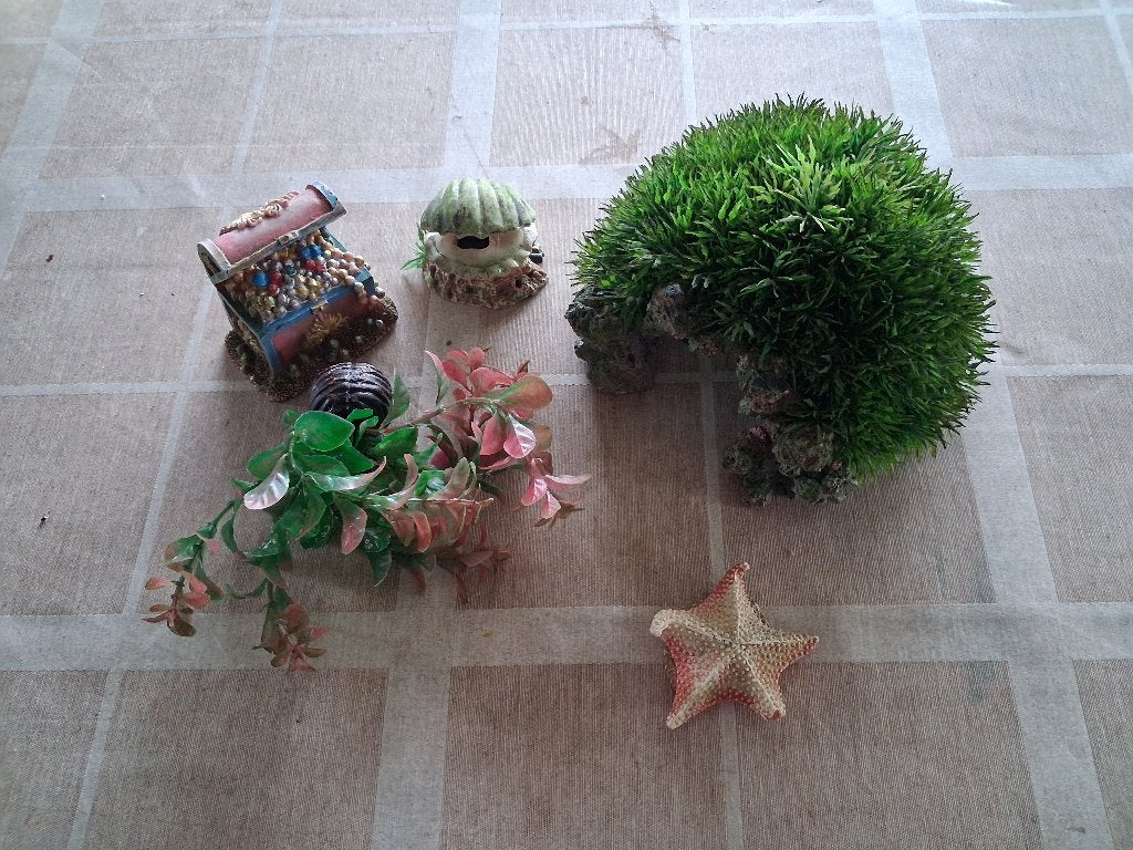30 liter aquarium en toebehoren., Dieren en Toebehoren, Vis, Zoetwatervis